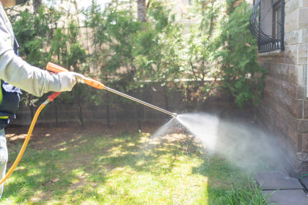 Best Best Pest Control Companies  in Live Oak, TX
