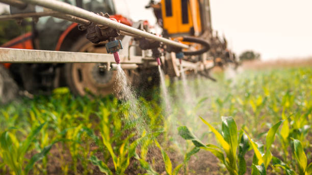 Best Pest Control Treatment  in Live Oak, TX